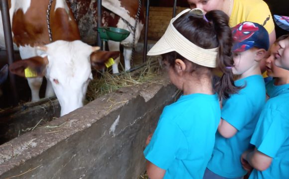 SCUOLA in FATTORIA