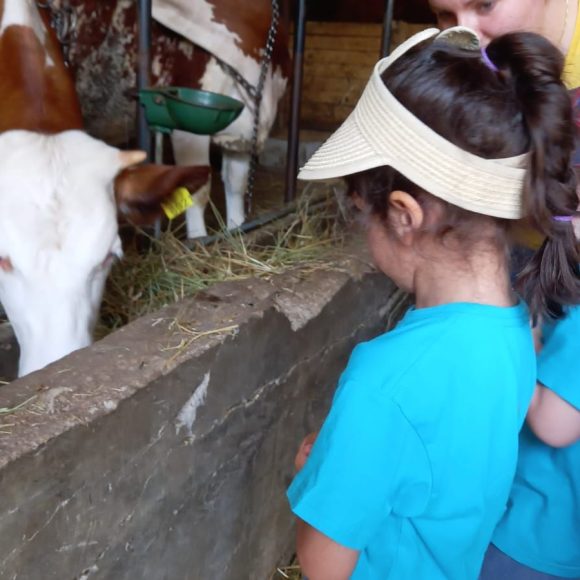 SCUOLA in FATTORIA