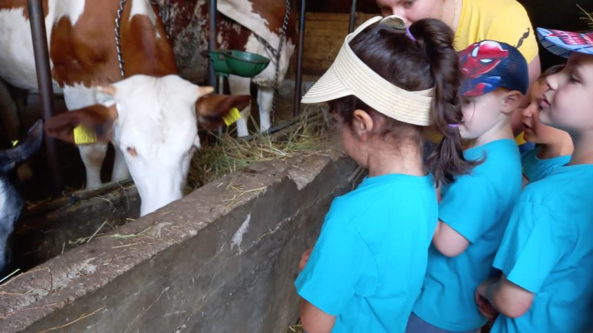 SCUOLA in FATTORIA